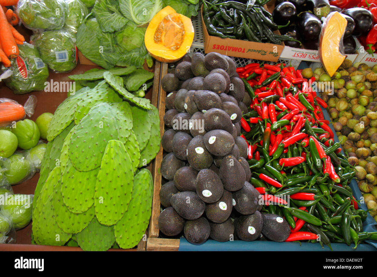 Miami Homestead Florida Redland's Farmers Market produce sale Stock