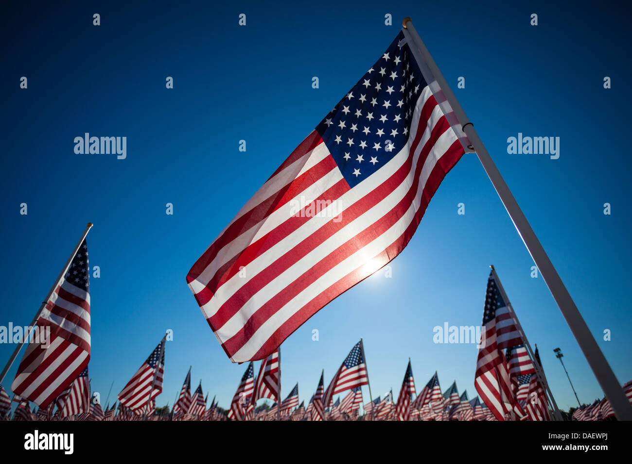 A display of many American flags with a sky blue background Stock Photo