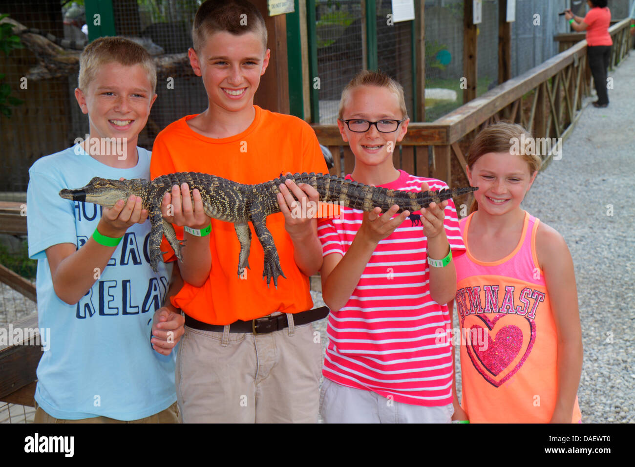 Fort Ft. Lauderdale Weston Florida,Fort Ft. Lauderdale,Sawgrass Recreation Park,Everglades,baby babies child children,juvenile alligator,holding,boy b Stock Photo