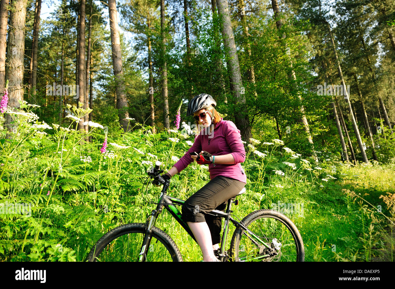 women bike in stock