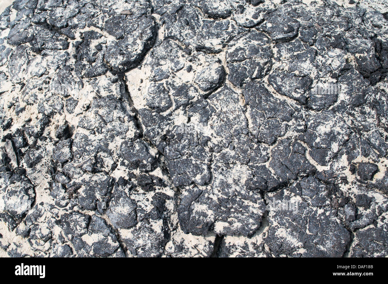 Lignit Picardie Geology High Resolution Stock Photography and Images - Alamy