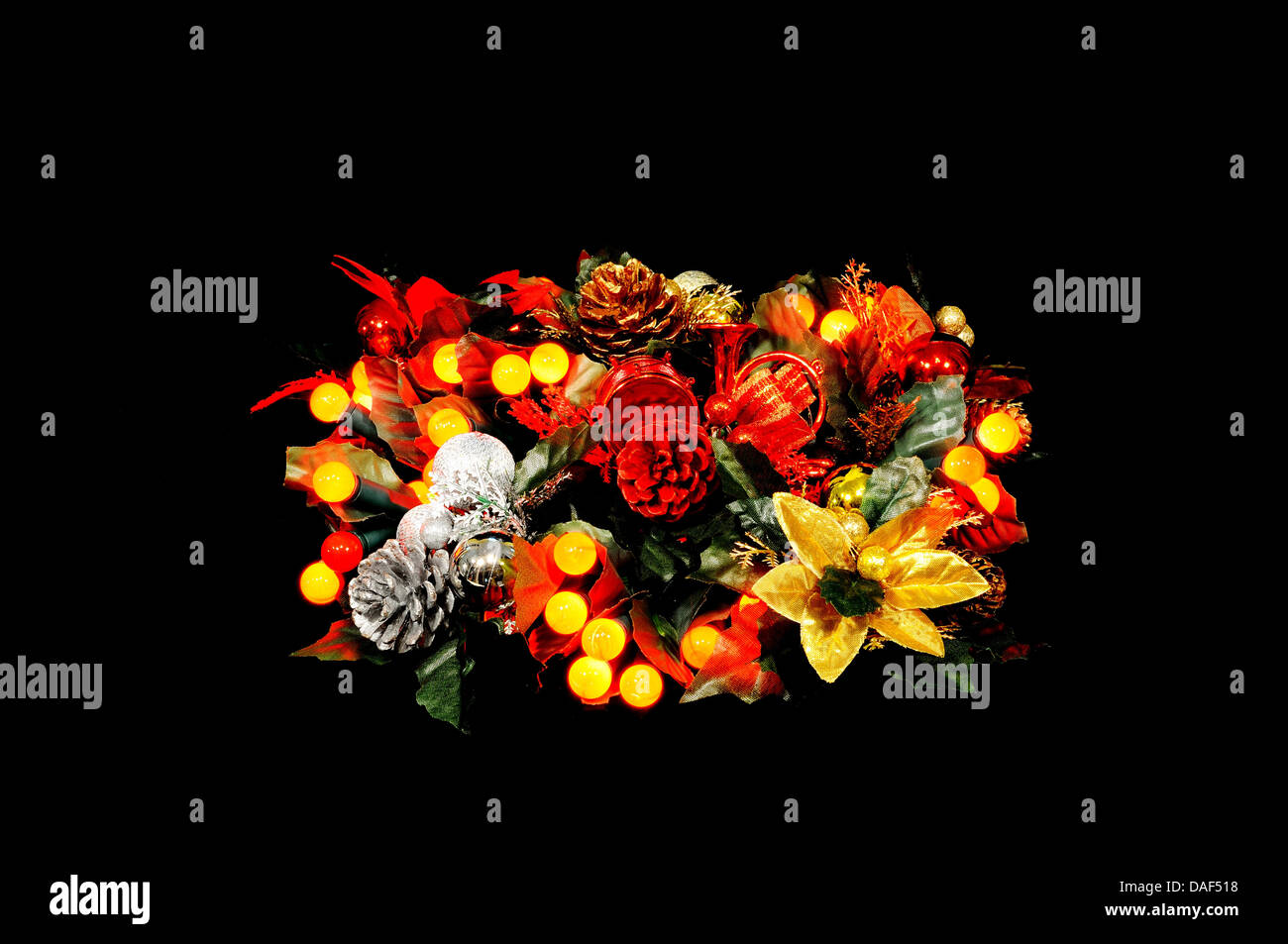 Christmas flowers and red berry lights against a black background. Stock Photo