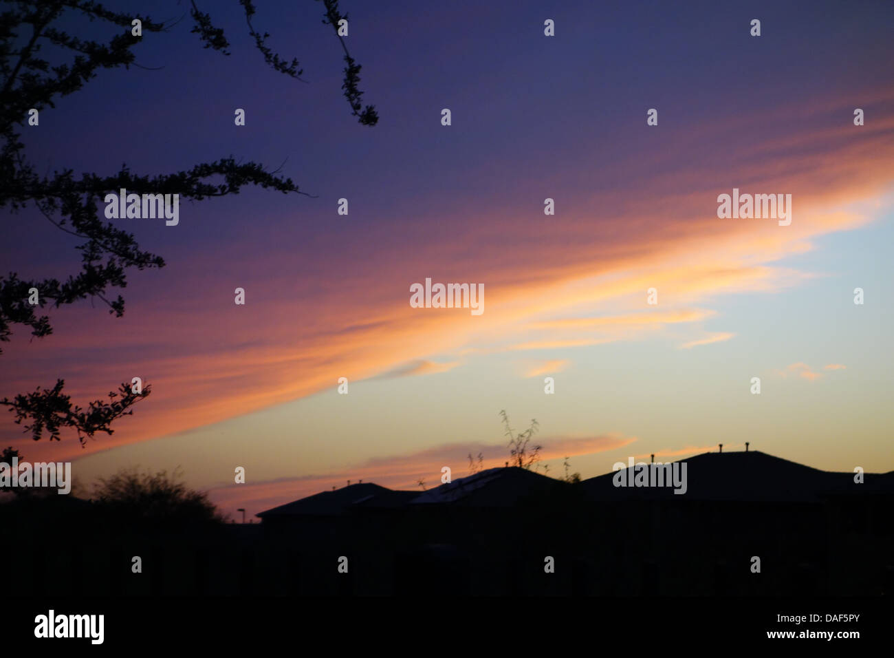 Arizona, Sunset, Trees, Silhouette, Houses AZ, Anthem Stock Photo