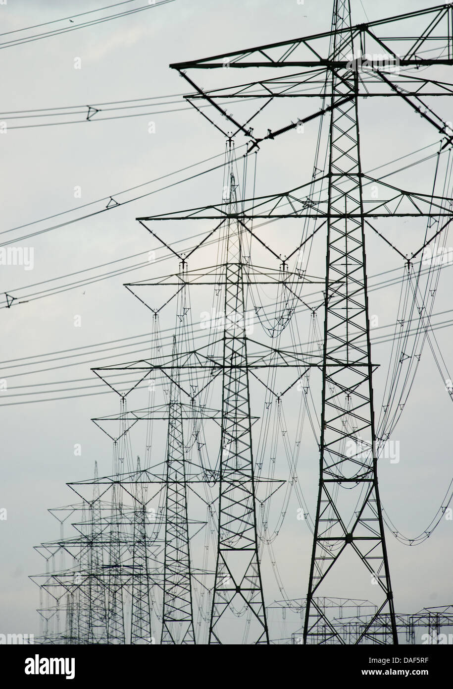 A hightension power line is pictured near Bernau, Germany, 08 February