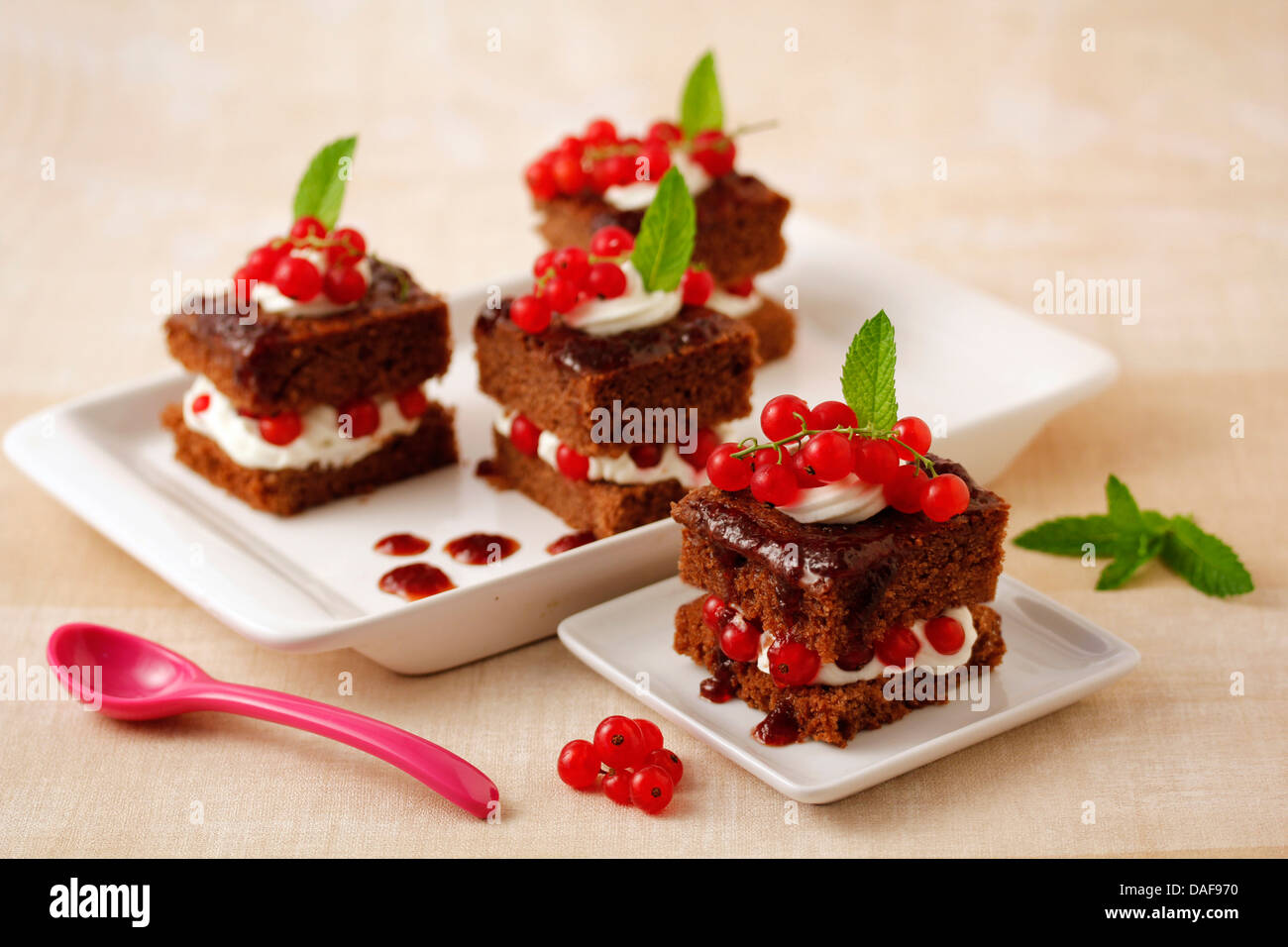 Chocolate sponge cakes with red currants. Recipe available. Stock Photo