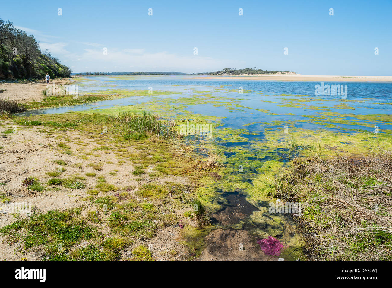 Lake Tyers in Gippsland, Victoria, Australia Stock Photo Alamy