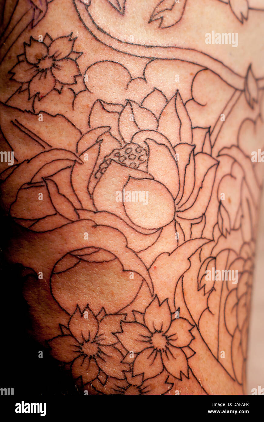 Close-up of a Japanese tattoo outline. Stock Photo