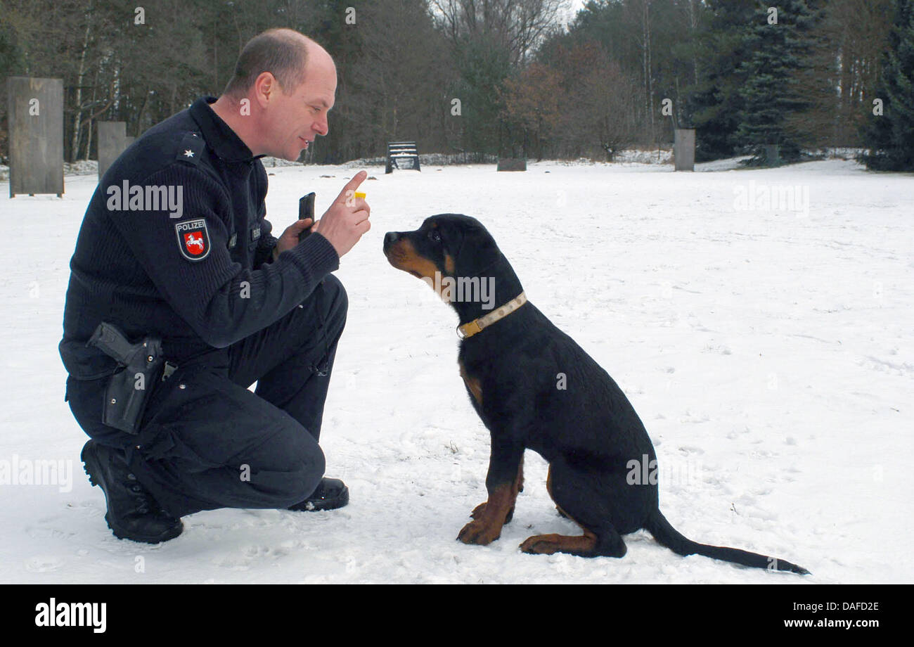 rottweiler police training
