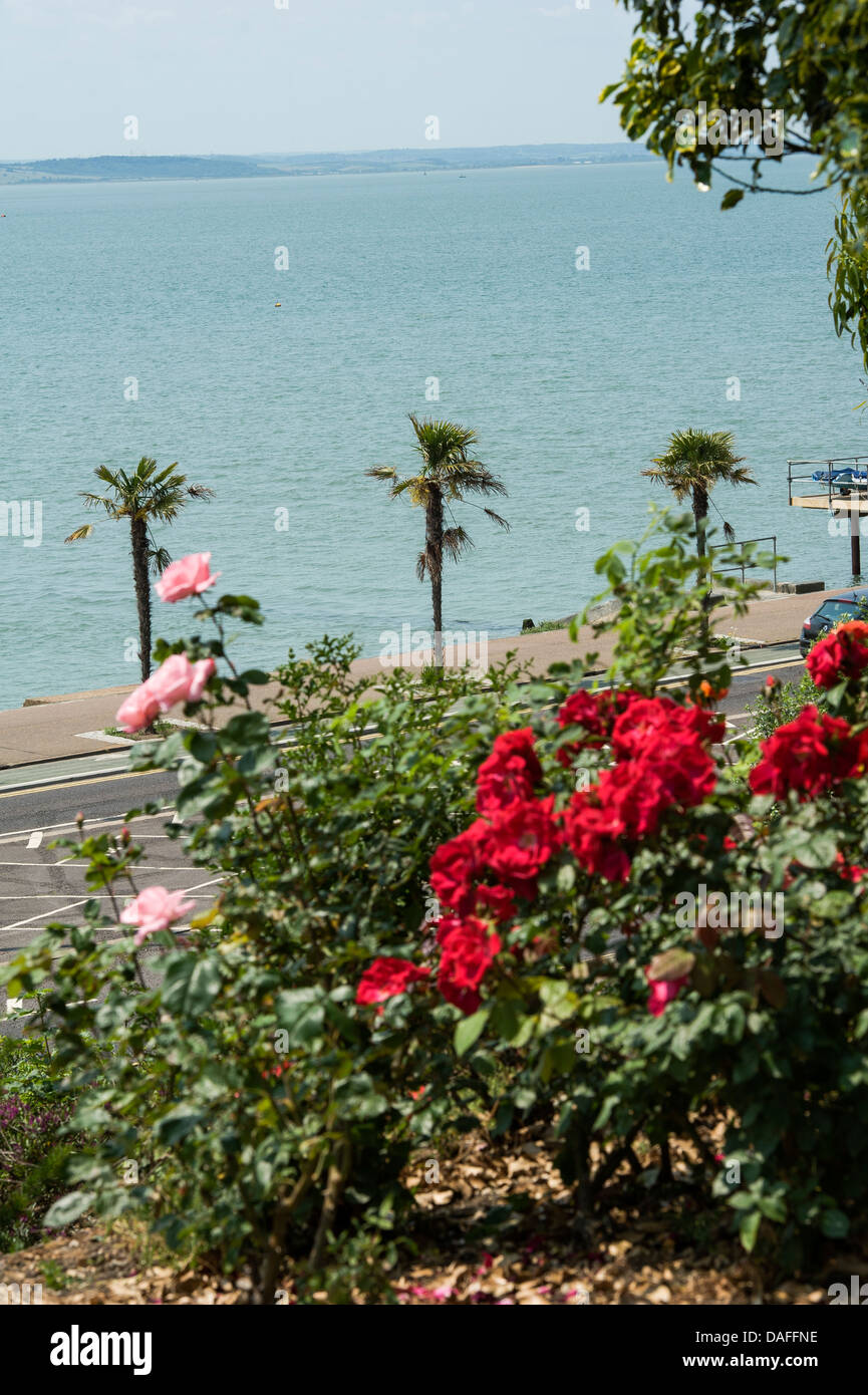 Rose gardens overlooking the seafront at Southend on Sea. Stock Photo