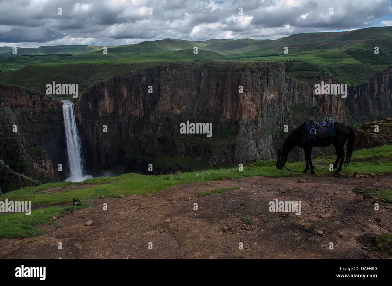 Horse at the edge of the abyss in front of Maletsunyane Waterfalls (Lesotho) Stock Photo