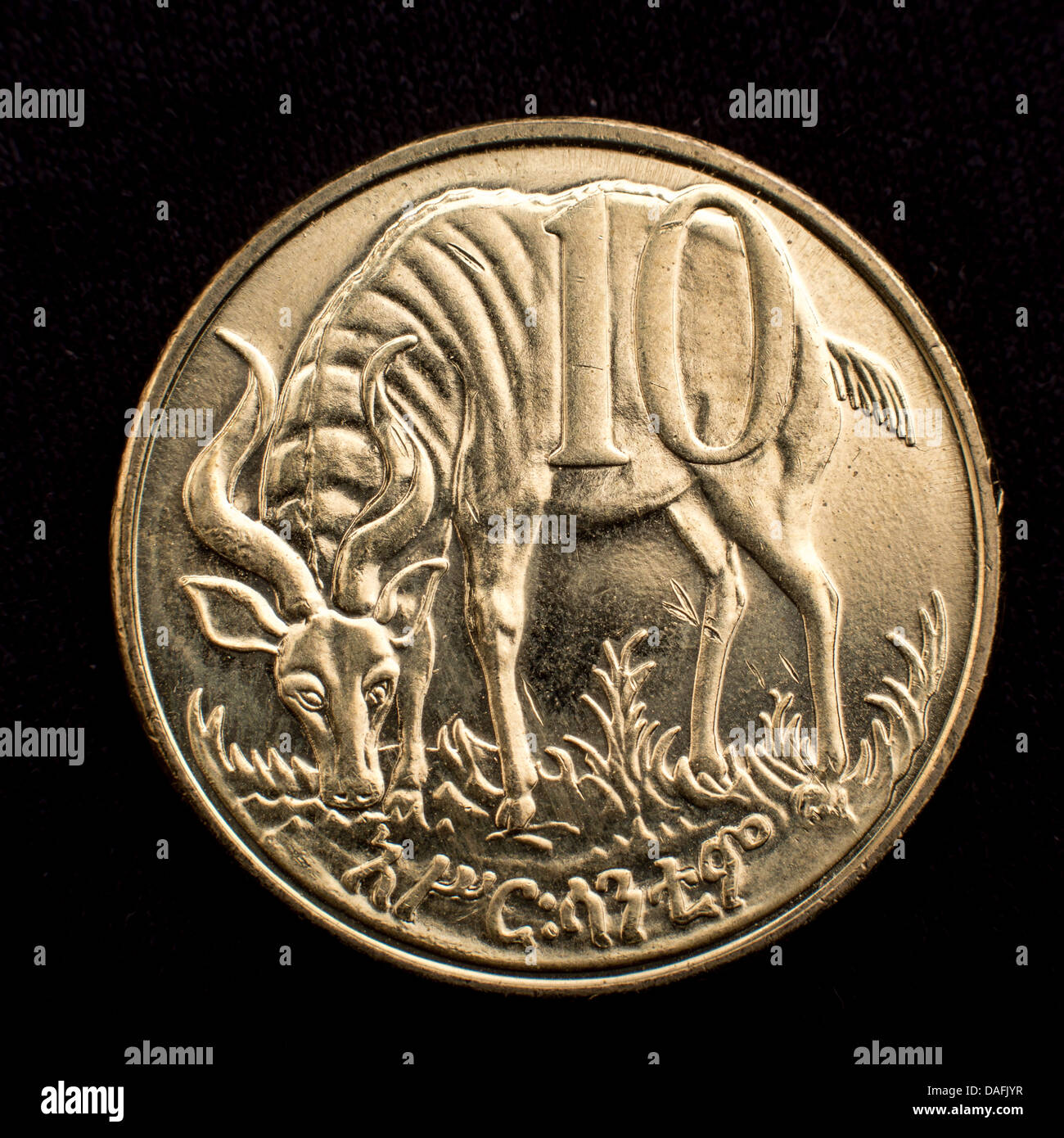 Figure of an antelope on the face of the Ethiopian ten cents coin Stock Photo