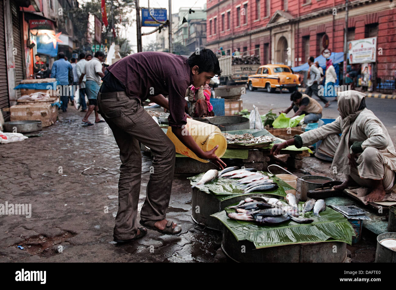 Fish market of calcutta hires stock photography and images Alamy