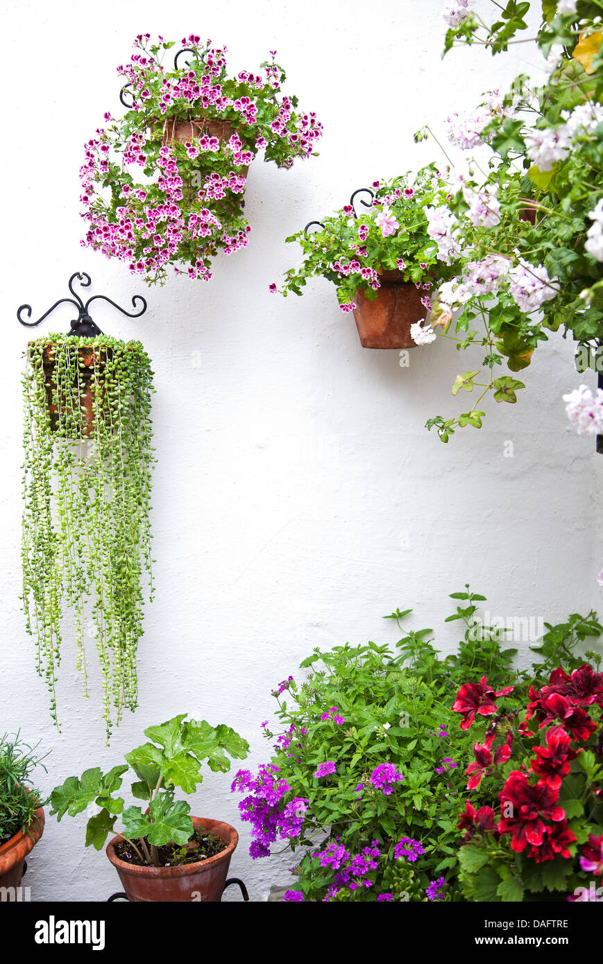 WALL WITH FLOWERS POTS. Stock Photo