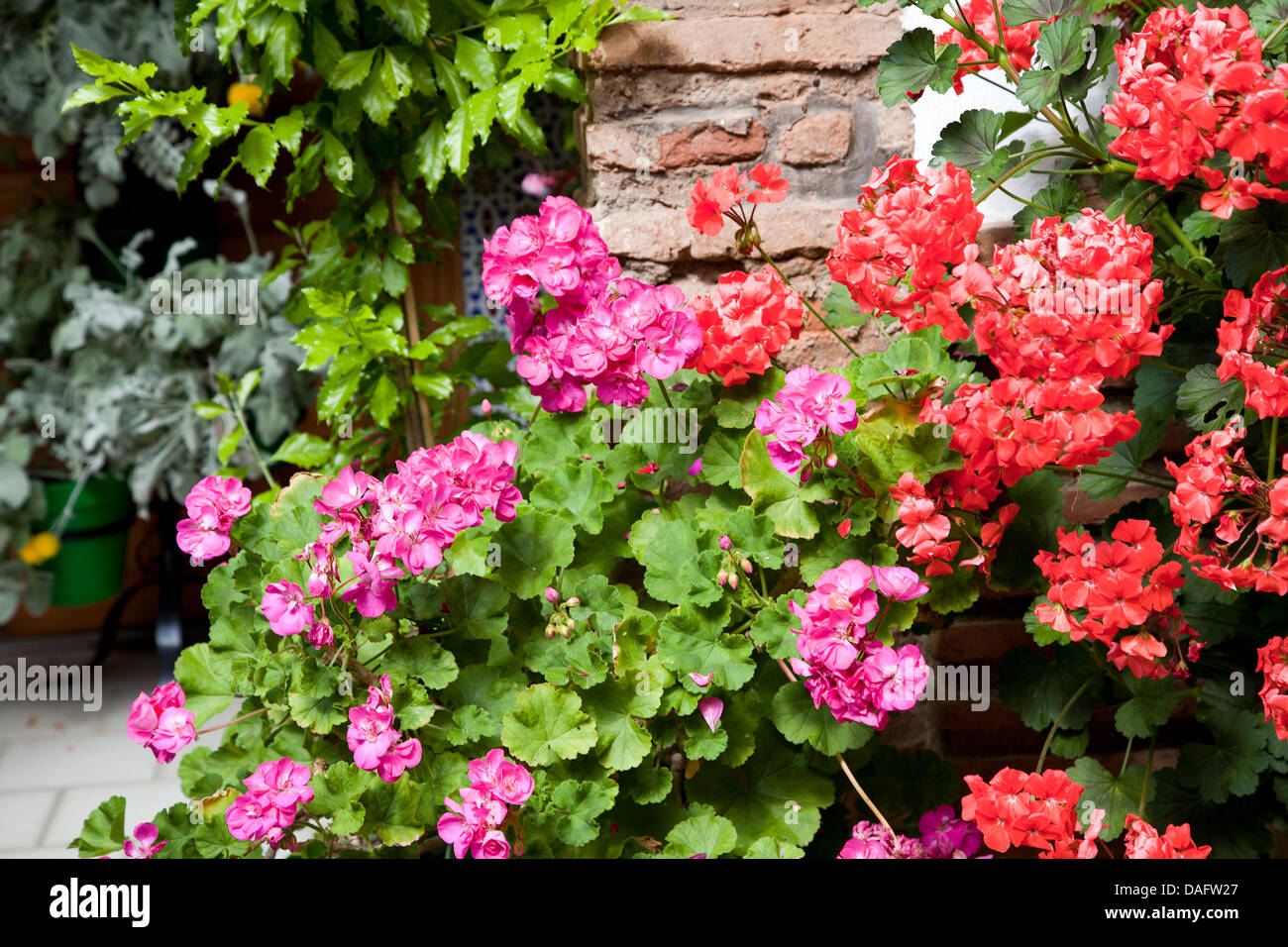 JOY AND COLOR IN ANDALUSIA Stock Photo