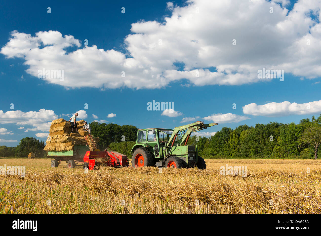 farmer on tractor with baler and trailer harvesting on a grain field, Germany Stock Photo