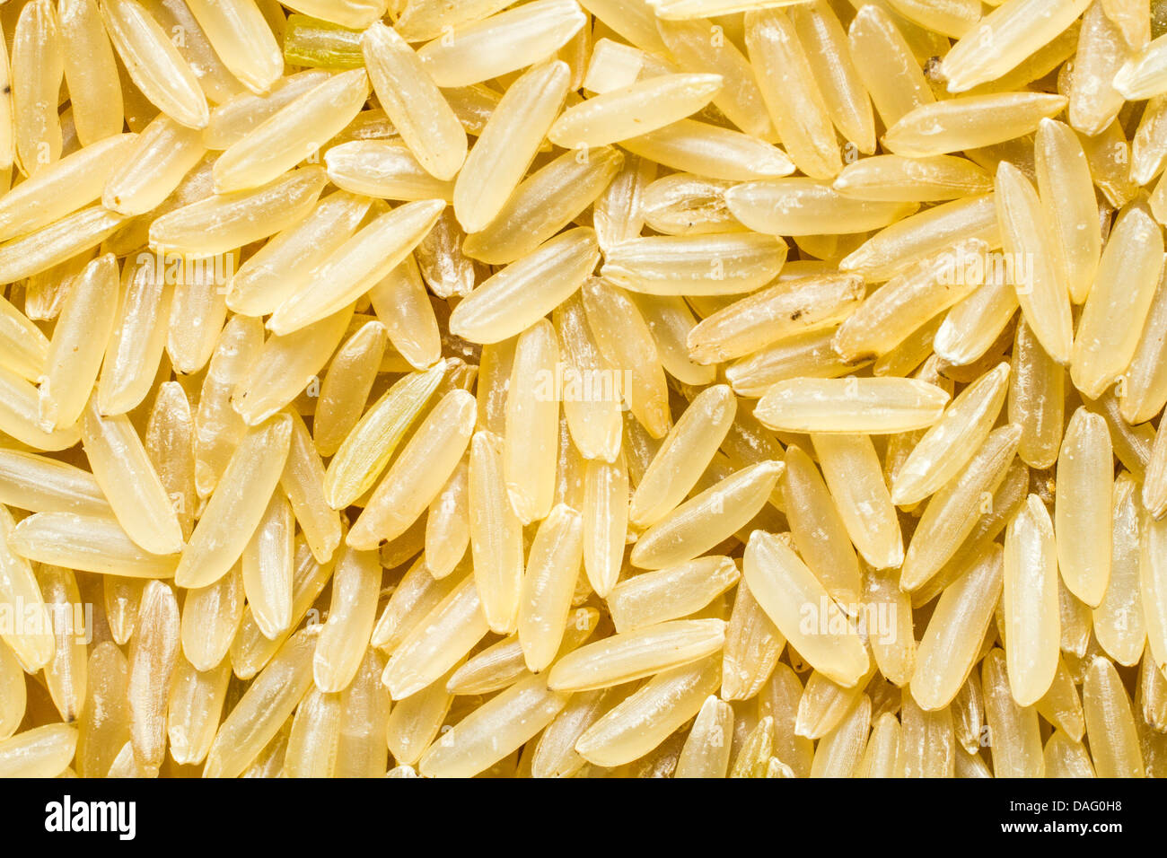 Unboiled Rice Close up shot of uncooked brown rice grains Stock Photo - Alamy