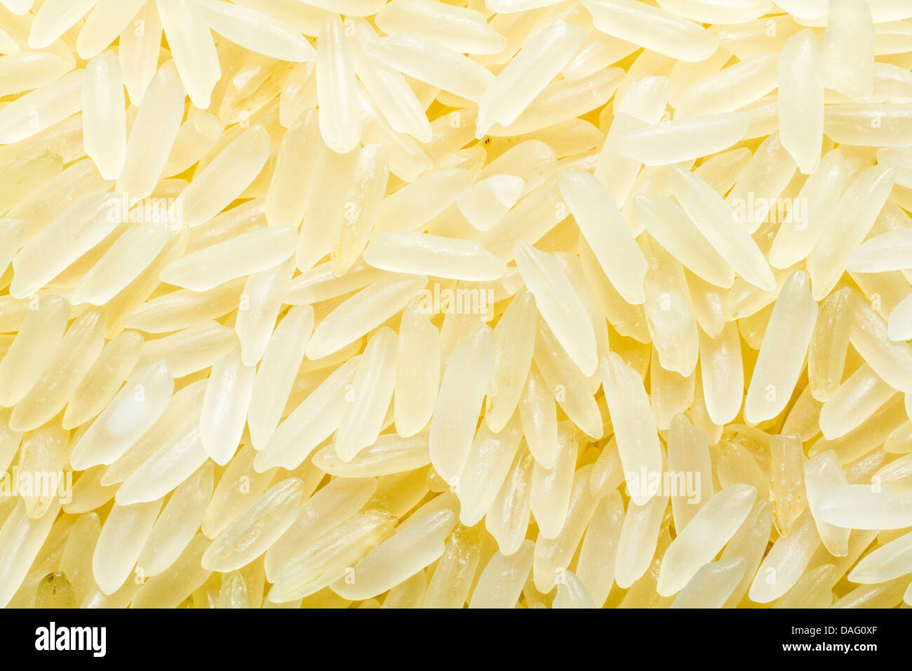 Close up shot of uncooked rice grains Stock Photo Alamy