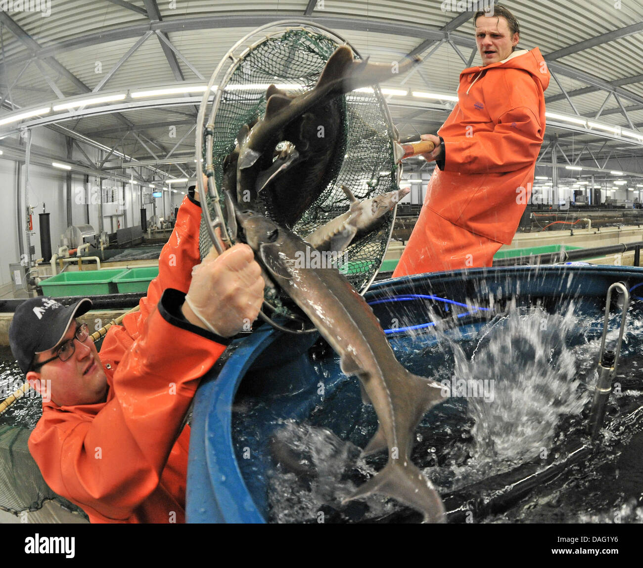The picture shows two employees of the 'Sturgeon Farm Jessen' Torten