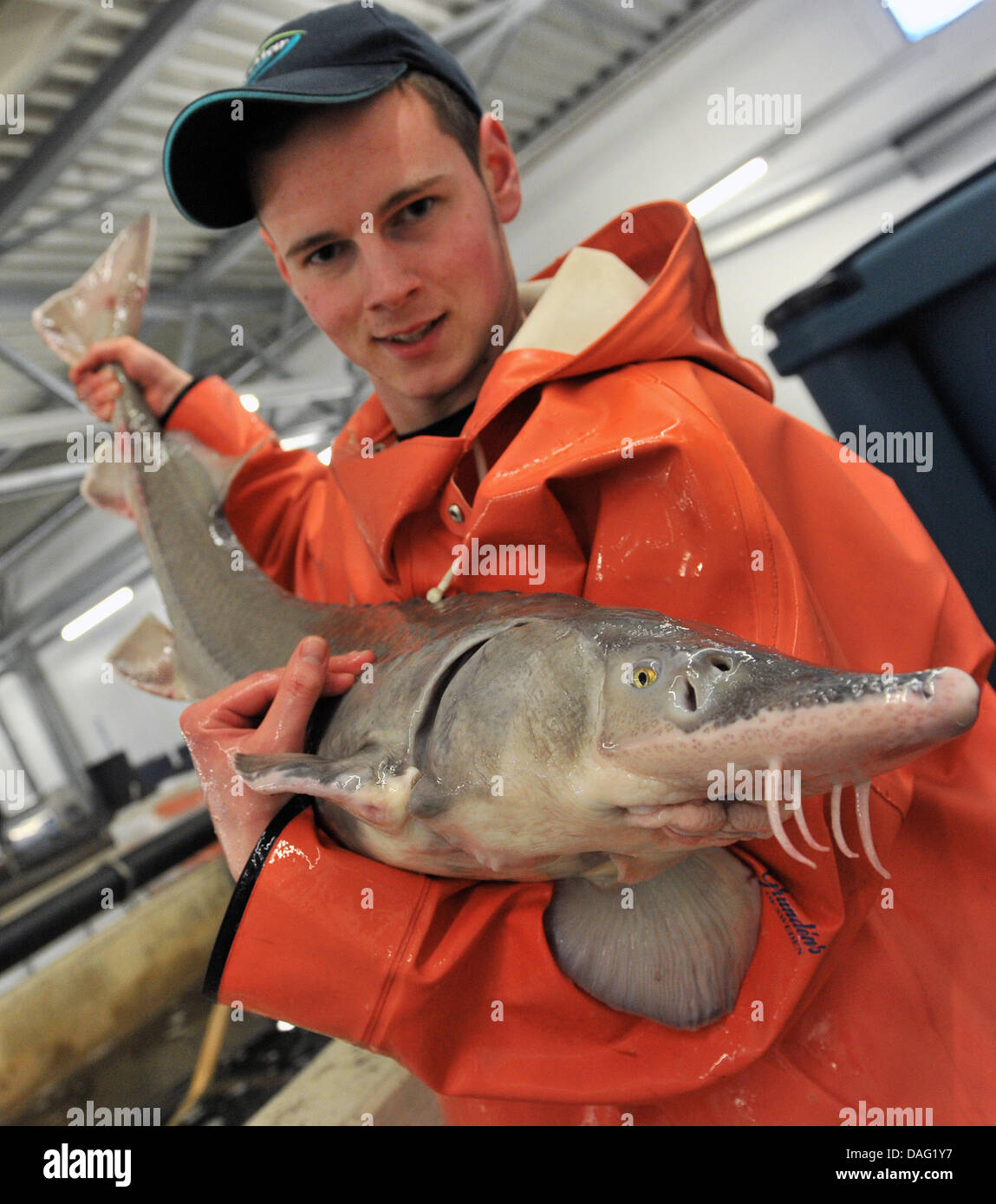 The picture shows the employee of the 'Sturgeon Farm Jessen' Mark