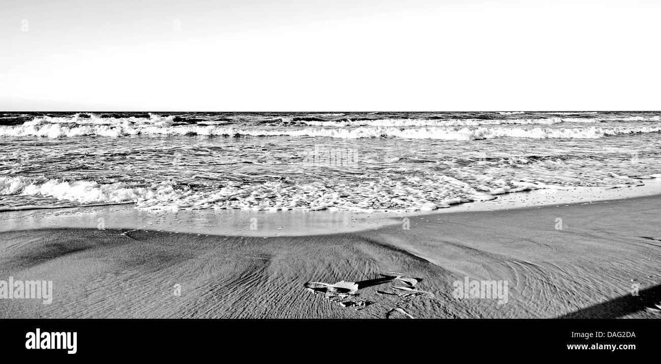 Beautiful baltic sea landscape Black and White Stock Photos & Images ...