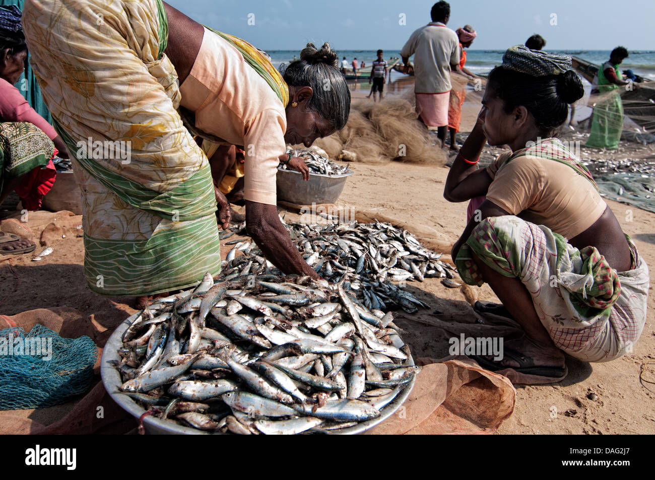 Women selling fish on the beach. Puri, Orissa, India Stock Photo Alamy