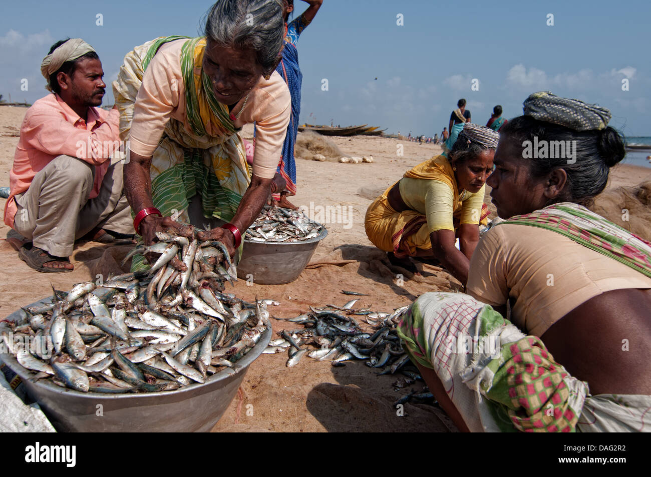 Fish selling business in mumbai image