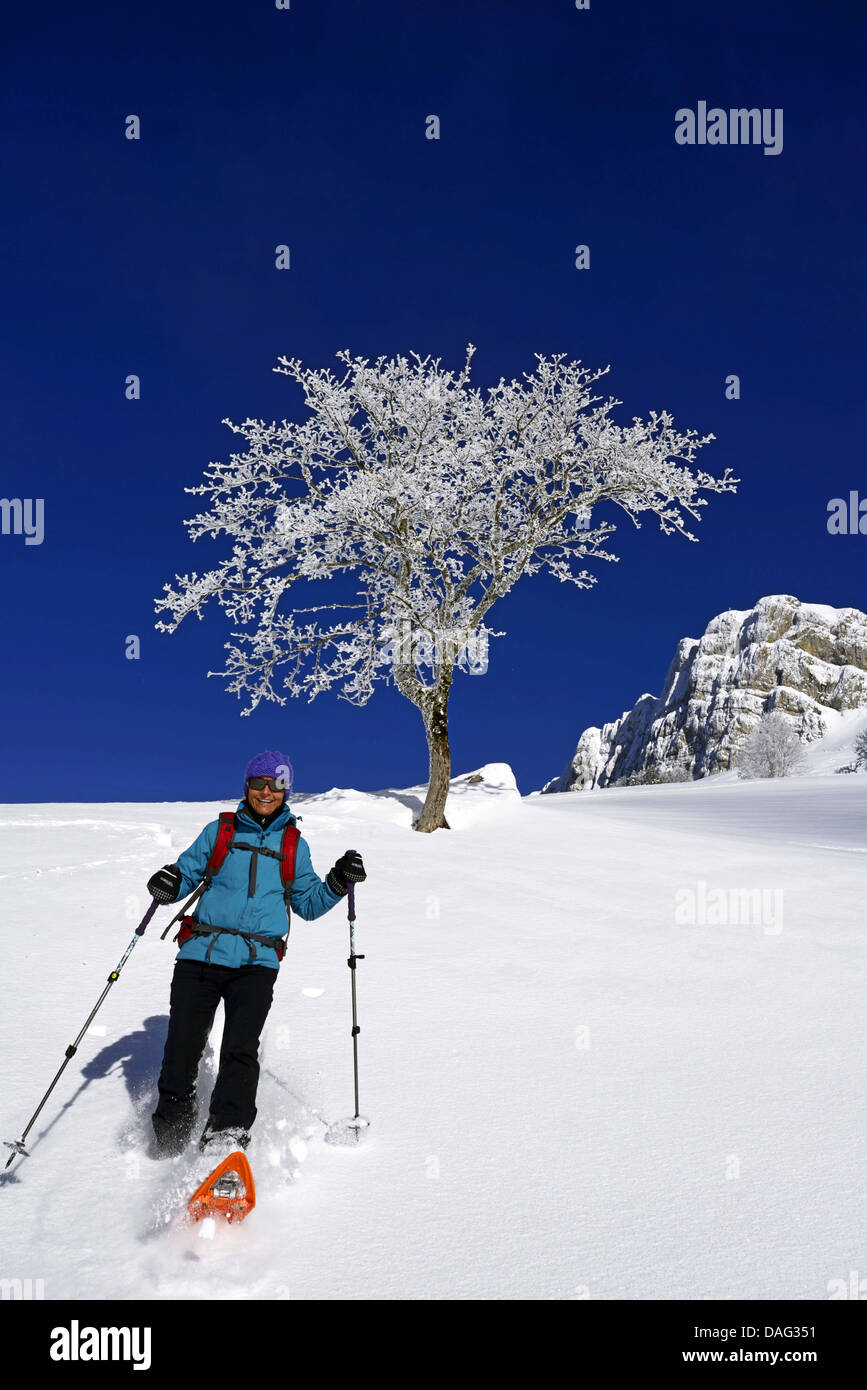 female snowshoer at the pass of the Ruchere in Chartreuse natural park, France, Isere Stock Photo