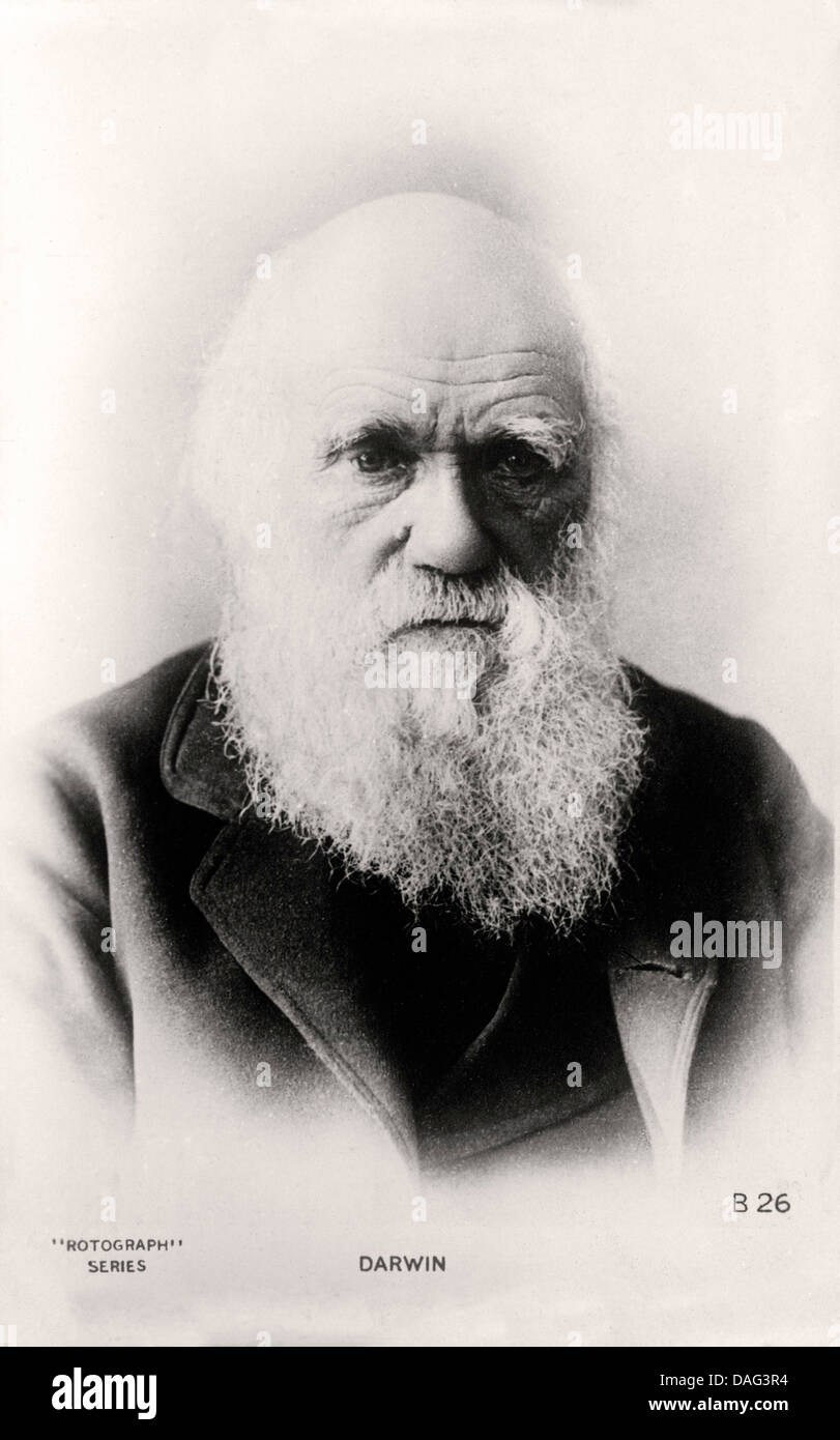 Charles Darwin photographic portrait restored and enhanced Stock Photo
