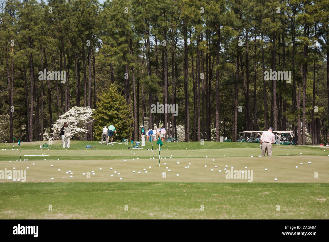 Golfers Putting, Thistle Dhu Putting Course, Pinehurst Resort Golf Course, NC Stock Photo Alamy