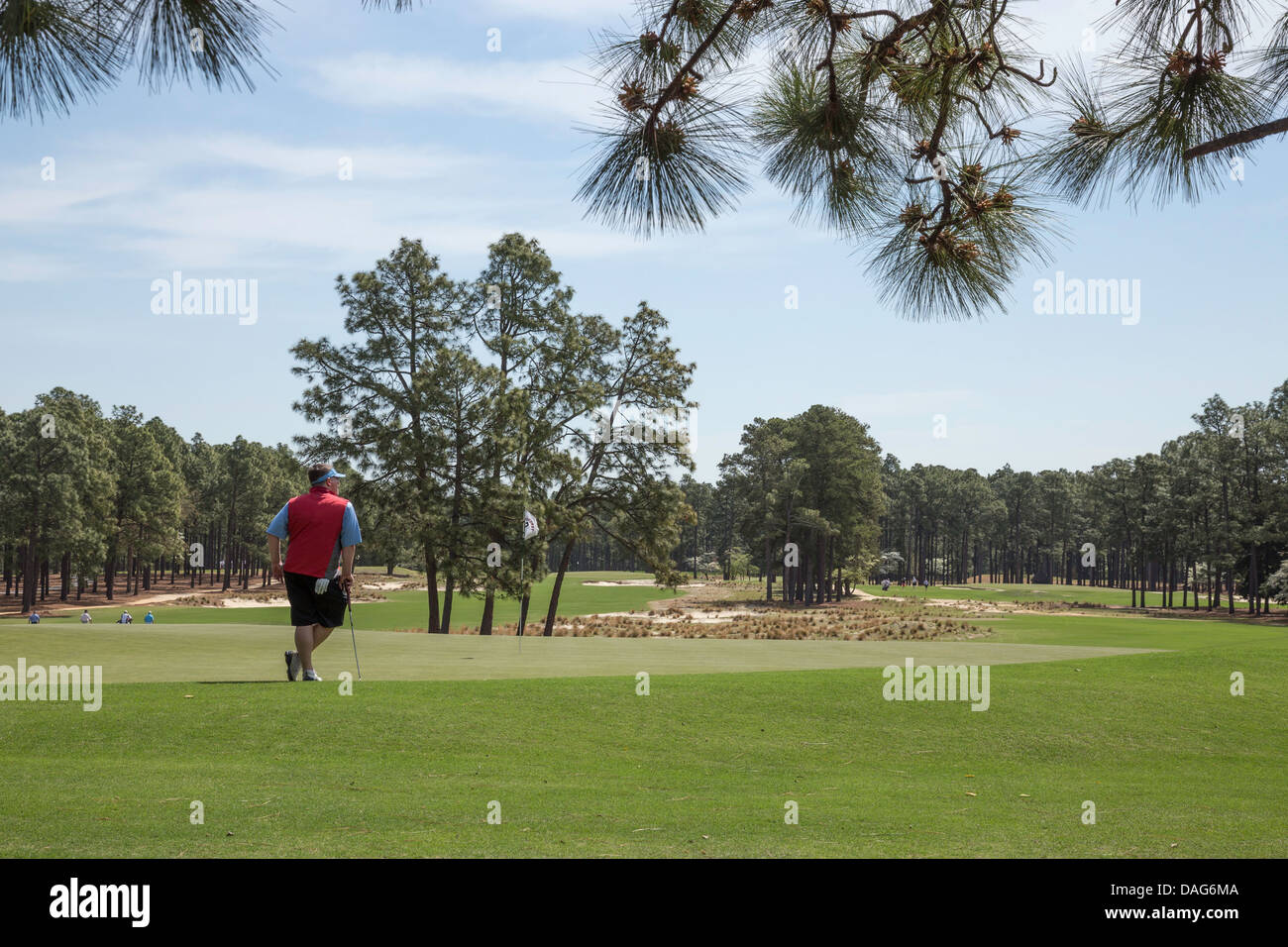 Golf Course North Carolina Stock Photos Golf Course North