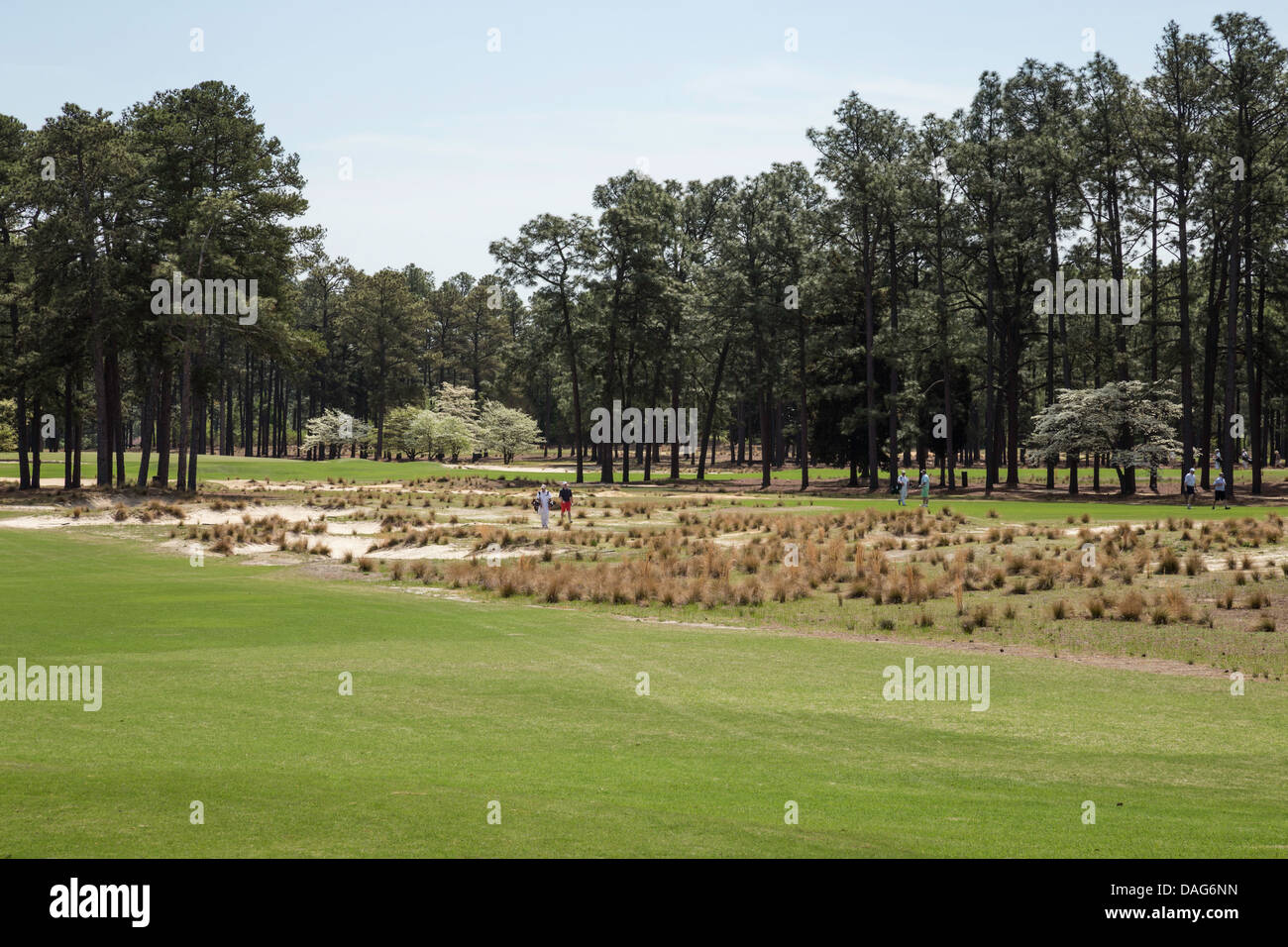 PInehurst Resort Golf Course, Pinehurst, North Carolina, USA Stock