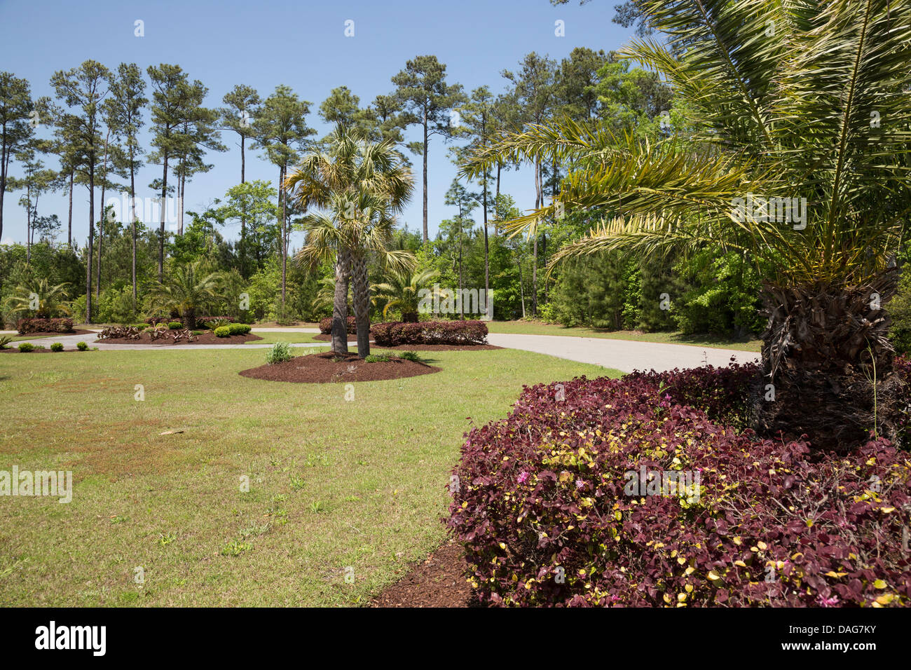 Murrells Inlet Residential Neighborhood, South Carolina, USA Stock Photo