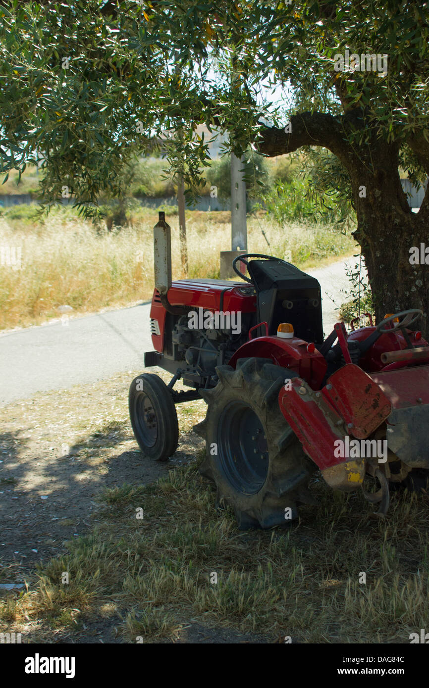 Red tractor in a shadow of as olive tree Stock Photo Alamy