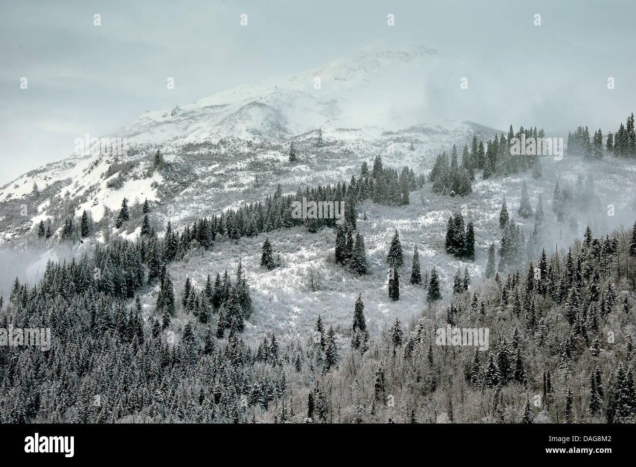 winter landscape of Alaska, USA, Alaska, Chilkat Bald Eagle Preserve Stock Photo