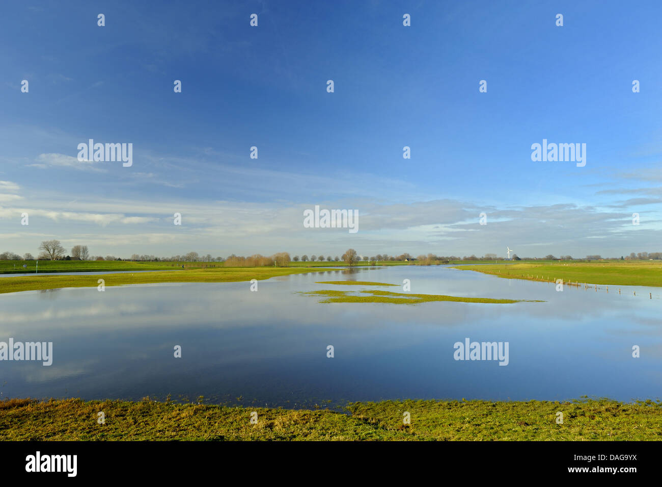 flooded meadows at Rhine high water, Germany, North Rhine-Westphalia, Lower Rhine, Schenkenschanz Stock Photo