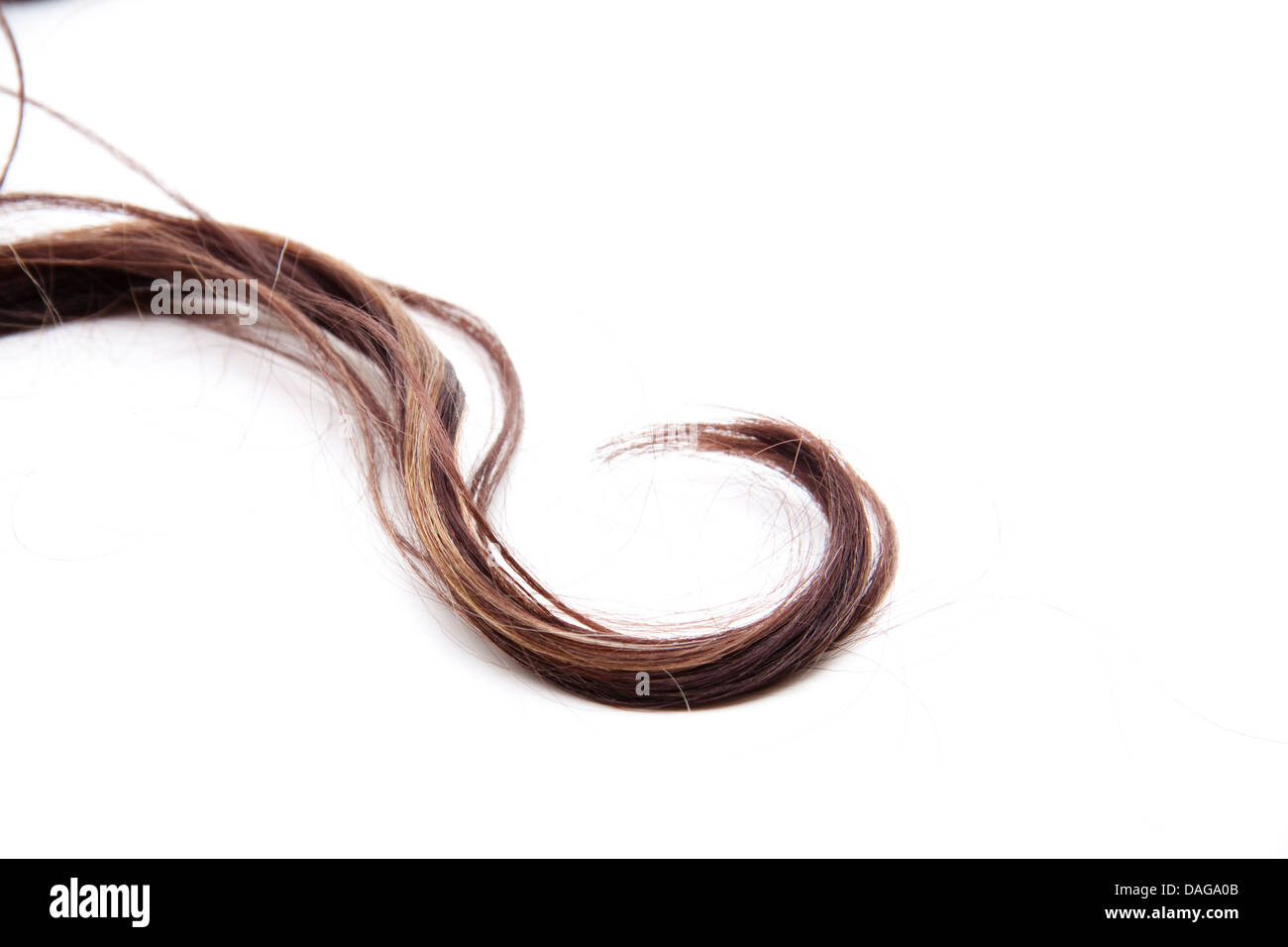 Brown Hair Lock Stock Photo 58136747 Alamy