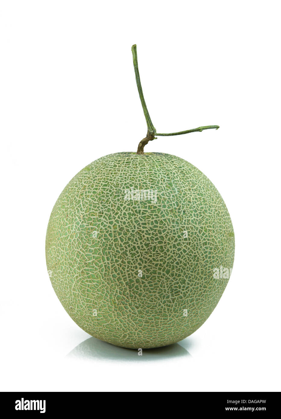 Vegetable melon hi-res stock photography and images - Alamy
