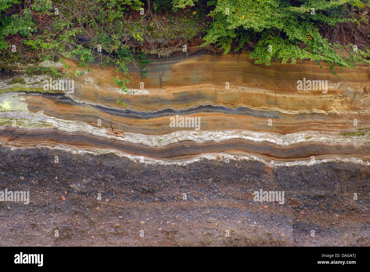 outcrop with layers of volcanic ashes, Germany, Rhineland-Palatinate, Naturpark Vulkaneifel, Rockeskyll Stock Photo