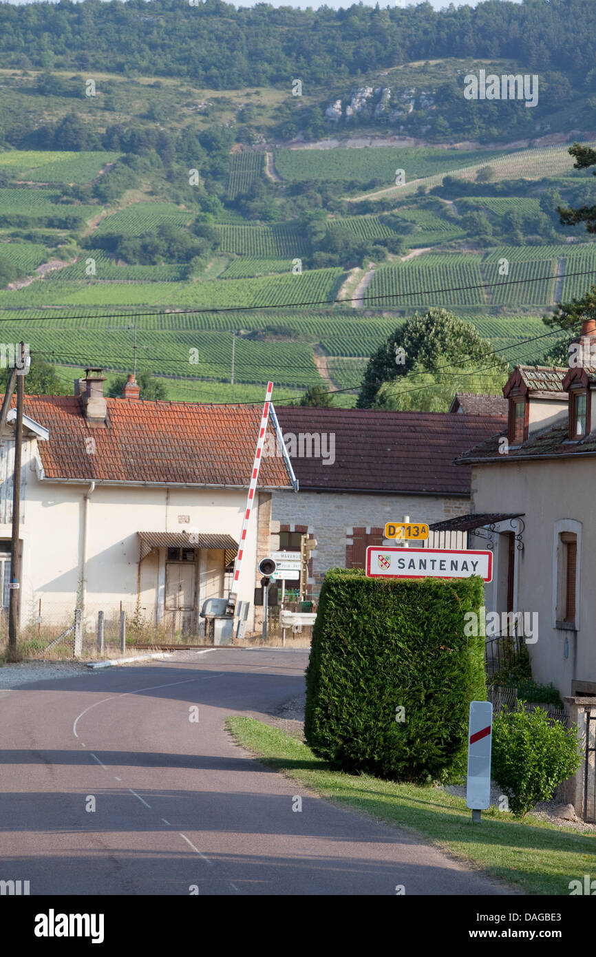 Road into Santenay, Burgundy,France Stock Photo