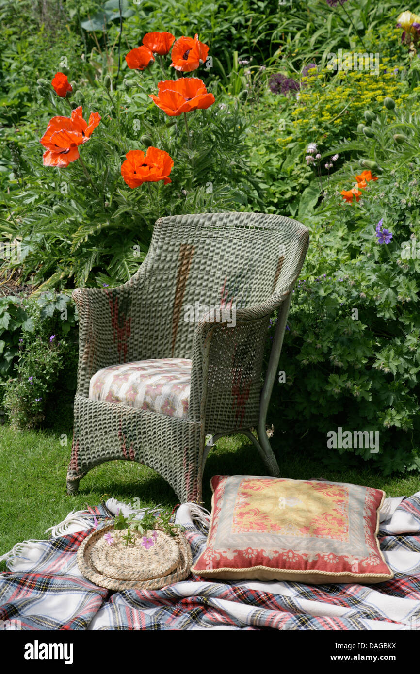 shabby chic wicker chair cushions