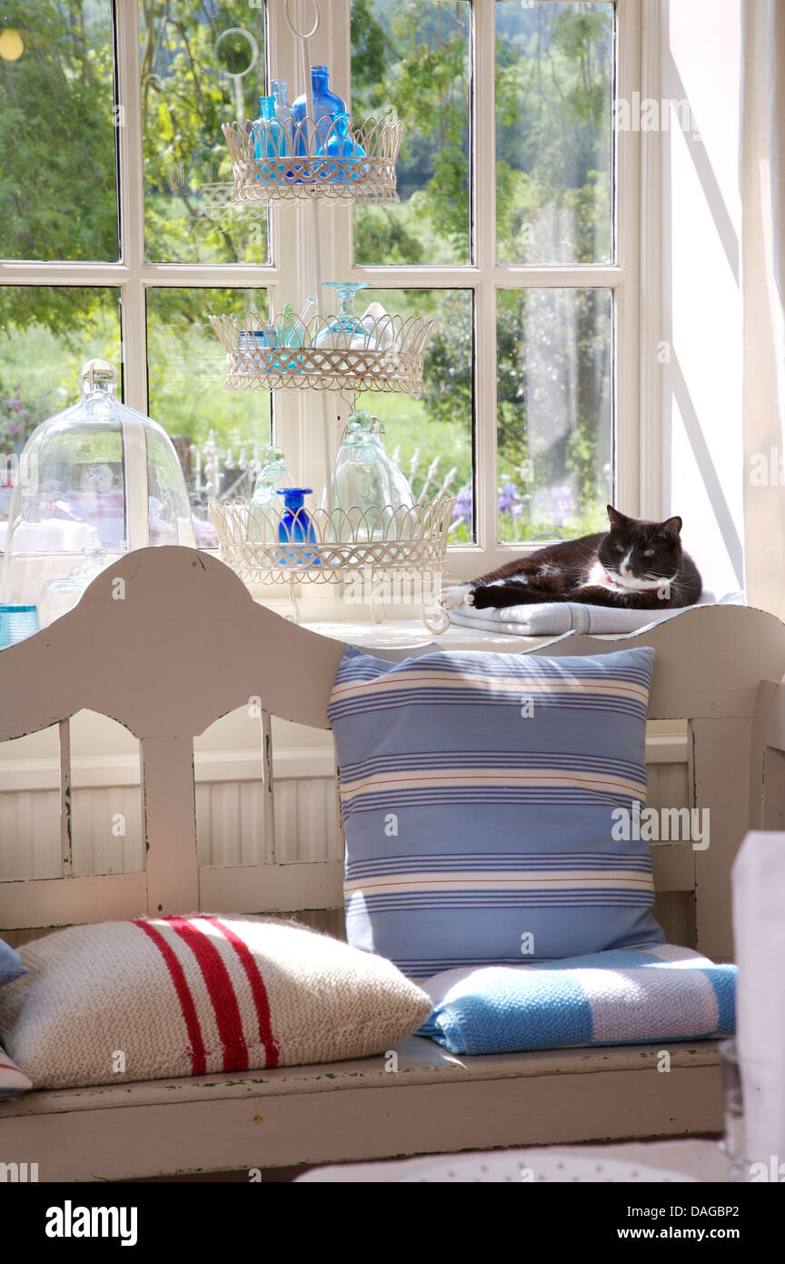 Cat Lying On Windowsill Above Painted Wooden Settle With Blue