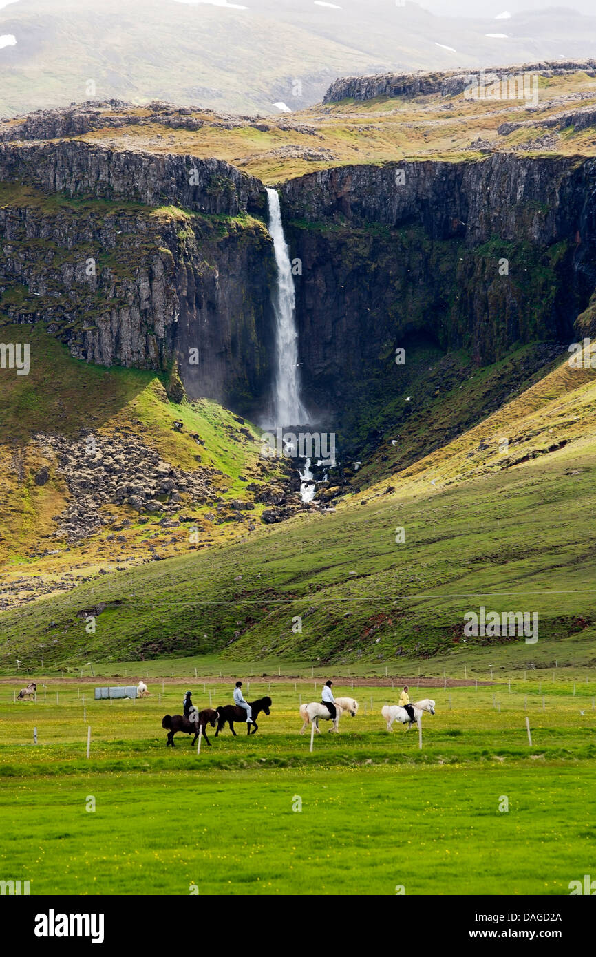 Horseback riding near Grundarfjorour - Snaefellsnes Peninsula, Northwest Iceland Stock Photo