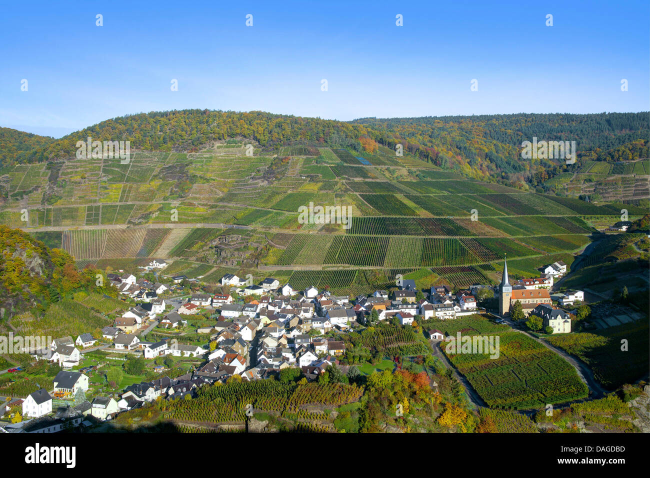 vine yards in the Ahr valley, view onto Mayschoss in autumn, Germany, Rheiland-Pfalz, Ahrgebirge Stock Photo