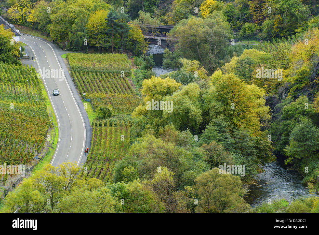 Ahr valley near Mayschoss in autum, Germany, Rhineland-Palatinate, Ahrgebirge Stock Photo