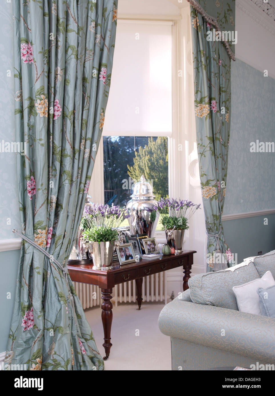 Pots Of Lavender On Table In Window With Pale Blue Floral Curtains Stock Photo Alamy