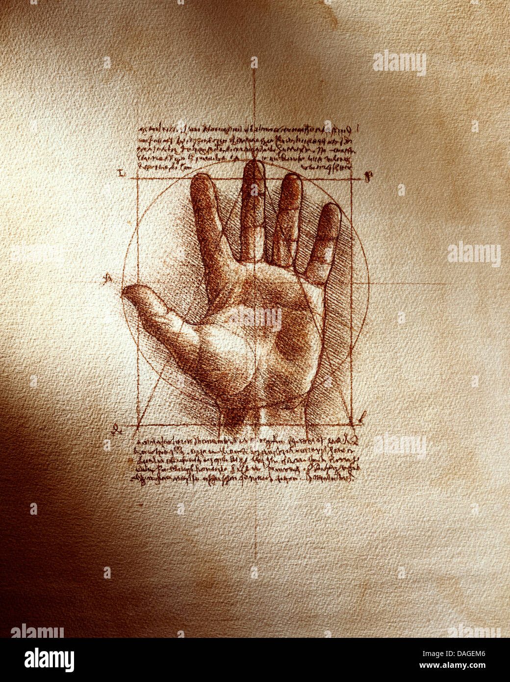 Da Vinci Style Hand Drawing- not a real 'DaVinci' Stock Photo