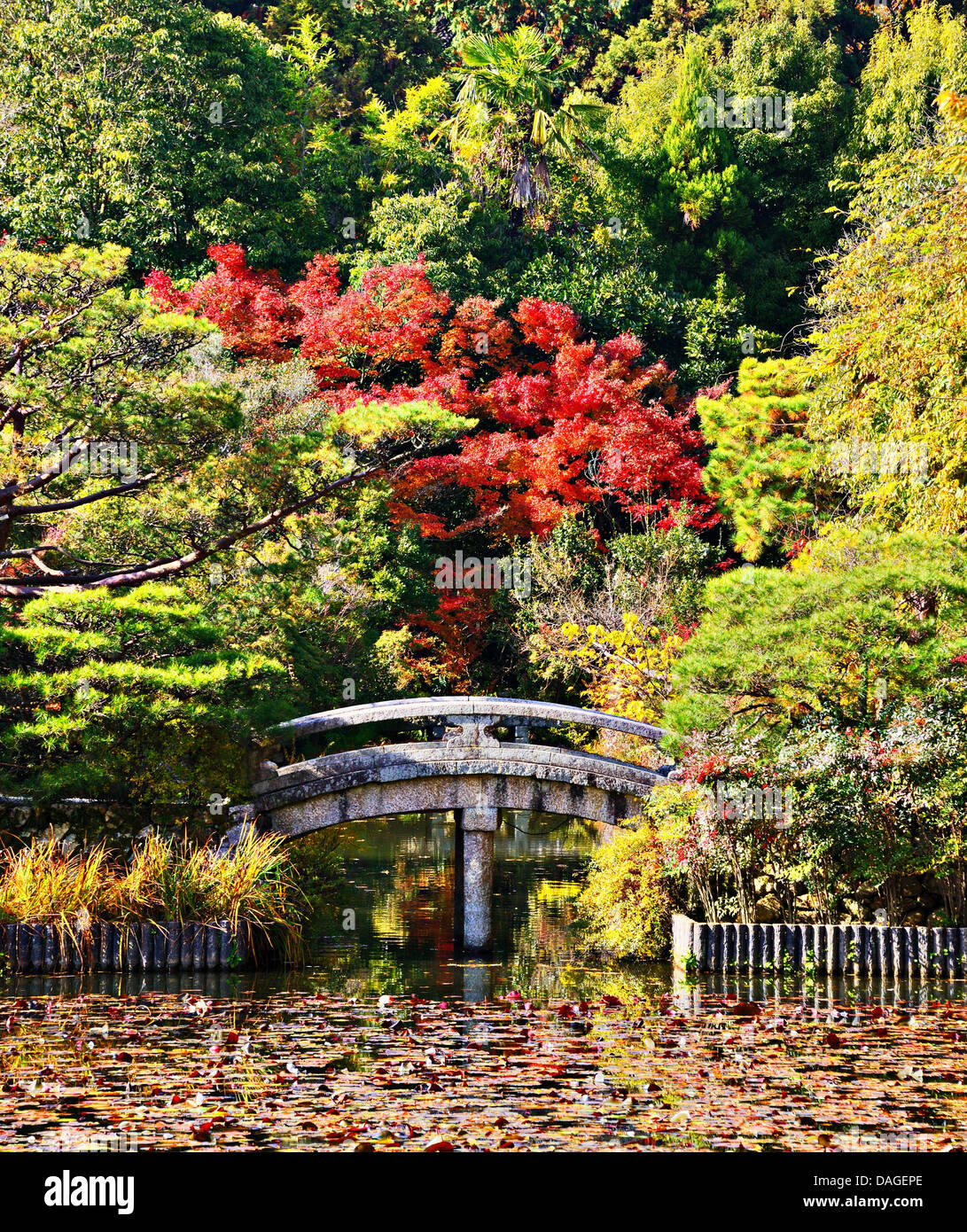 Serene bridge and pond of a Japanese Garden in Kyoto. Stock Photo