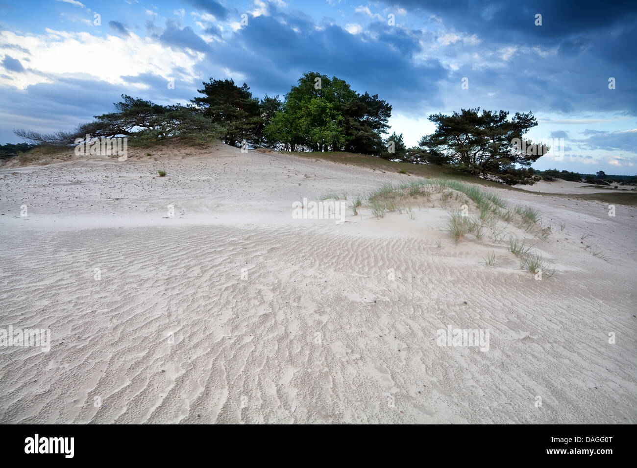 wind texture on sand dune in clouded day Stock Photo - Alamy