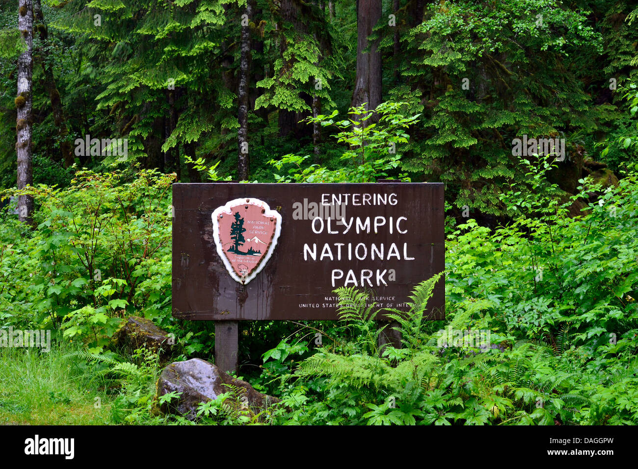 Sign of Olympic National Park in lush green rain forest. Olympic National Park, Washington, USA. Stock Photo