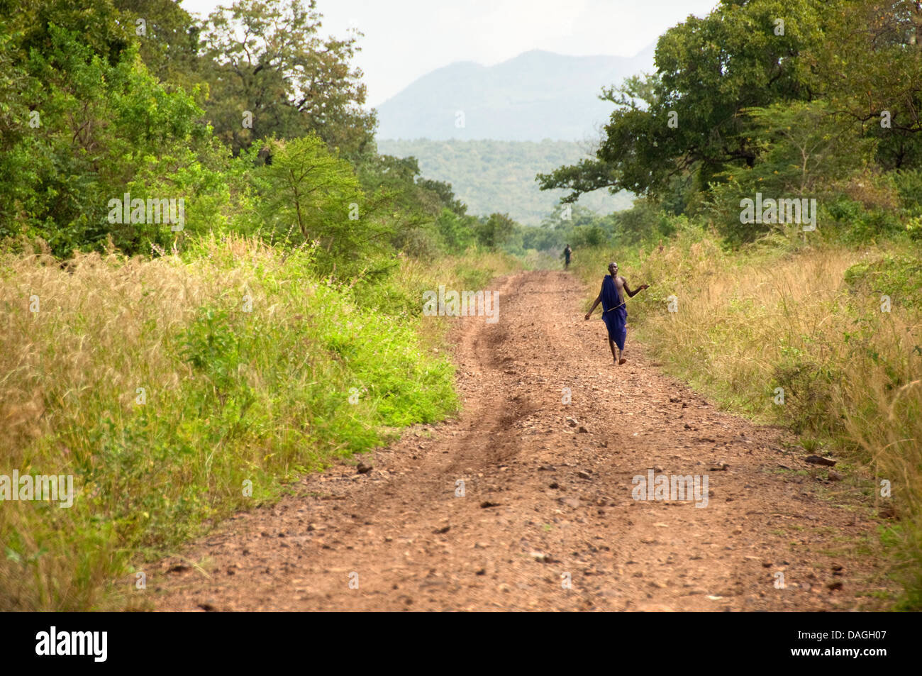 A Suri (Surma) shepherd on a track in the bush, Ethiopia Stock Photo